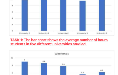 bieu-do-cot-bar-chart-vip