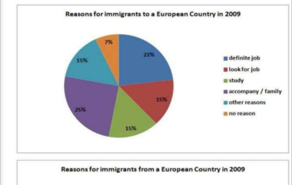 bieu-do-hinh-tron-vip