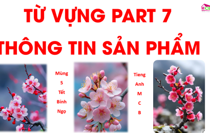 tu-vung-part-7-chu-de-thong-tin-san-pham-tienganh-mcb