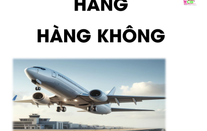 tu-vung-lc-chu-de-hang-khong-toeic-mcb