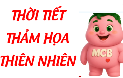 thoi-tiet-tham-hoa-thien-tai