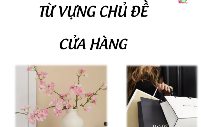 tu-vung-chu-de-cua-hang-tienganh-mcb