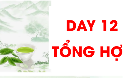 day-12-tong-hop-toeicmcb