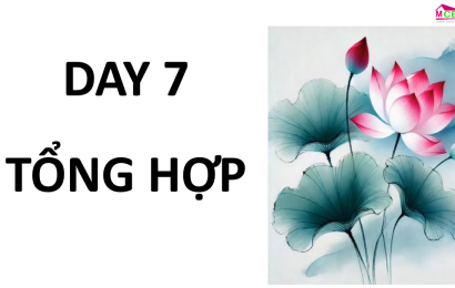 day-7-tong-hop-toeicmcb