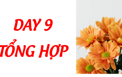day-9-tong-hop-toeicmcb
