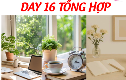 day-16-tu-vung-tong-hop-toeicmcb