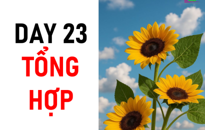 day-23-tu-vung-tong-hop-toeicmcb