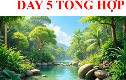 day-5-tong-hop-toeicmcb