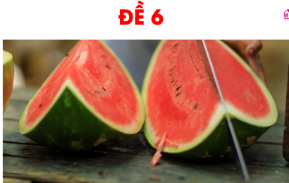 test-6-song-ngu-2023-part-7