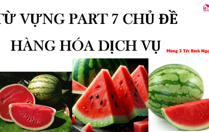 tu-vung-chu-de-hang-hoa-va-dich-vu-tienganh-mcb