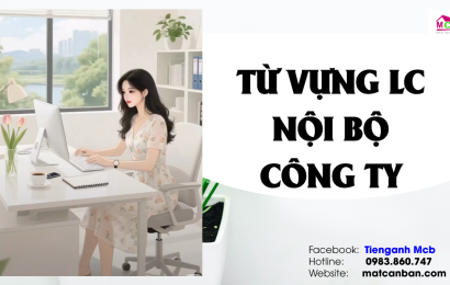 tu-vung-lc-noi-bo-cong-tytienganh-mcb