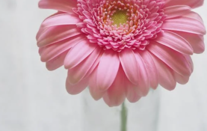 test-1-2024-song-ngu