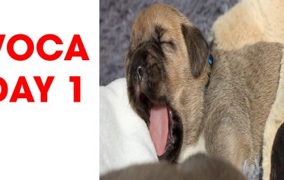 day-1-tong-hop-toeicmcb