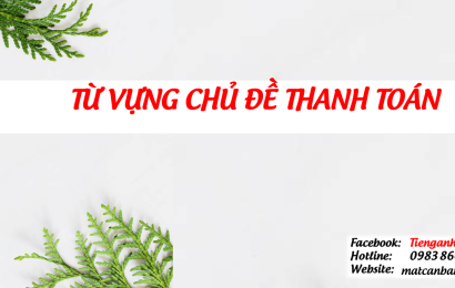 tu-vung-chu-de-thanh-toan-lctoeicmcb