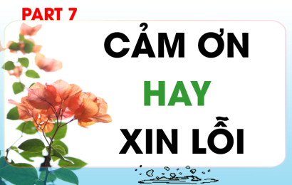 cam-on-hay-xin-loi-part-7
